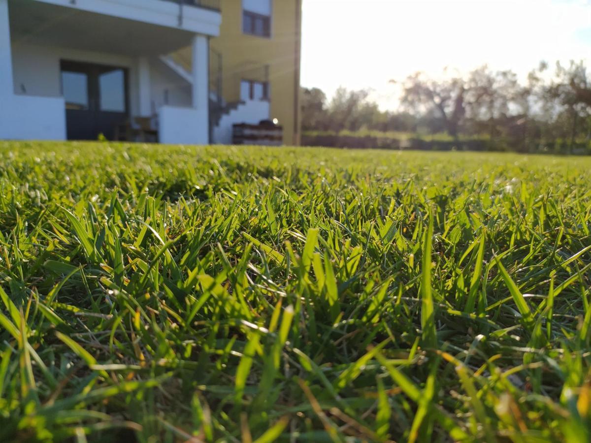 Natura E Mente Camere E Relax Vasto Exteriör bild