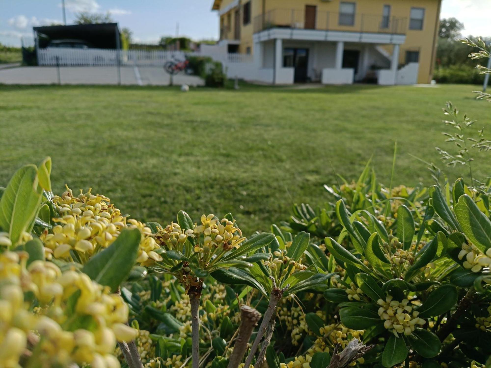 Natura E Mente Camere E Relax Vasto Exteriör bild